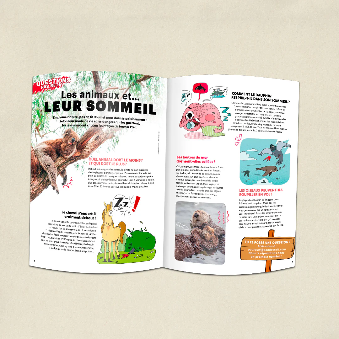 Image du produit 5