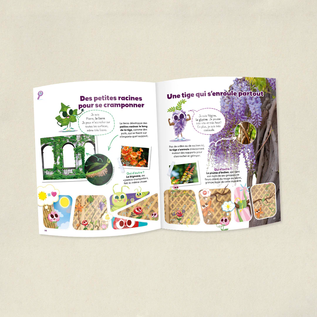 Image du produit 5